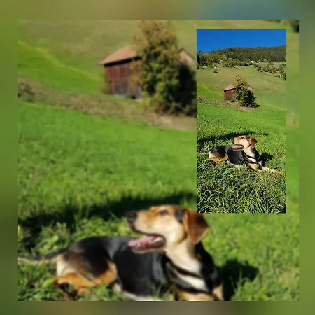 Haus Wieder Lejlighed