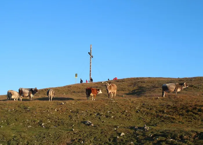 Haus Wieder 플리스