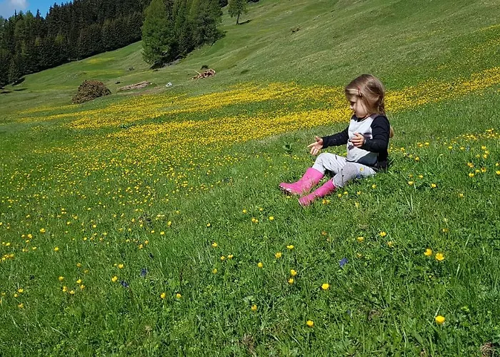 Haus Wieder 아파트