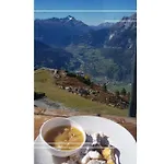 Haus Wieder